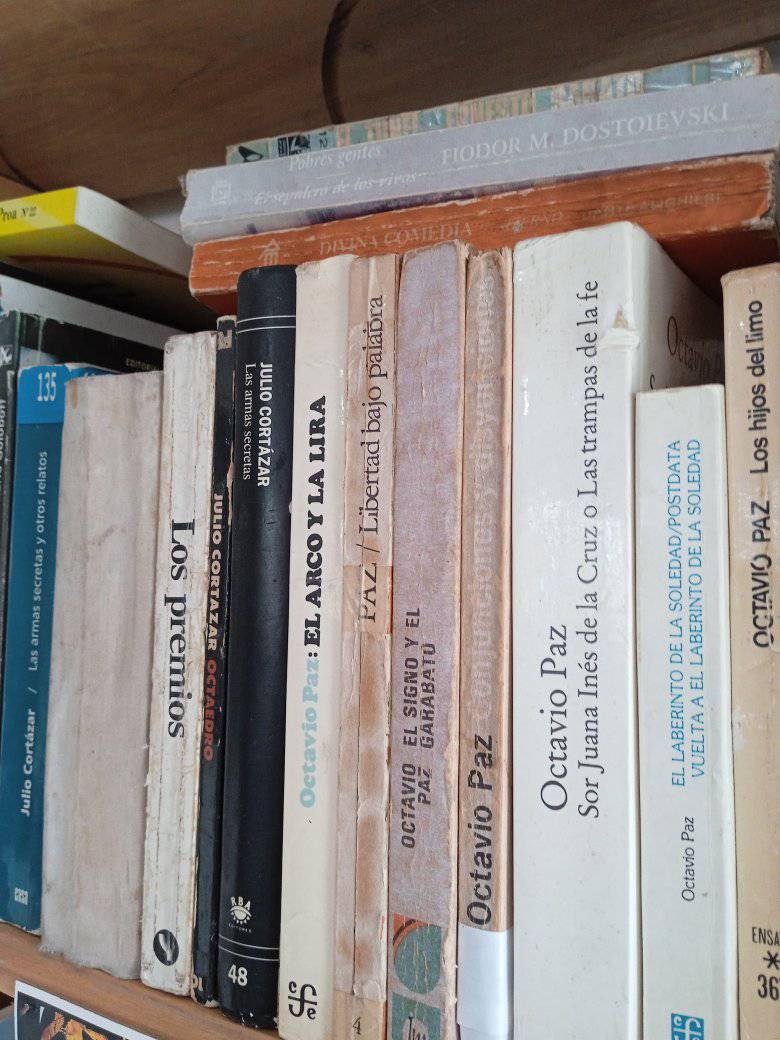 Los libros / los naufragios… 2