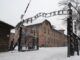 Auschwitz, visita al horror que no debe repetirse