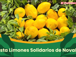 El sábado día 9 se celebra el día grande de la XIV Fiesta de los Limones Solidarios en Novales (Alfóz de Lloredo)